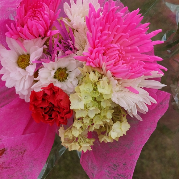 Meet your Posher, Wendy - Picture 6 of 10